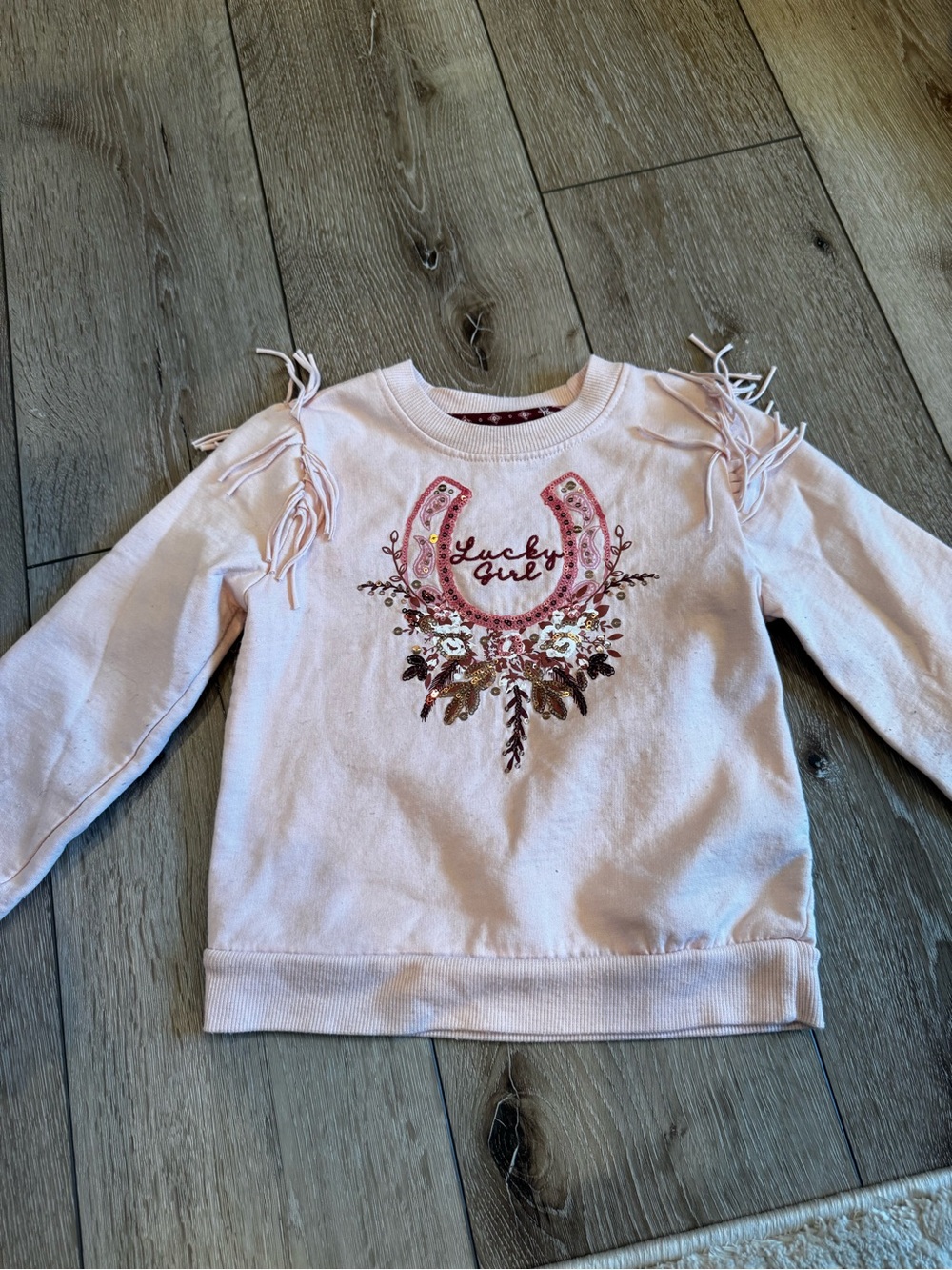 Haute Hippie Pink 'Lucky Girl' Horseshoe Sweatshirt with Fringe